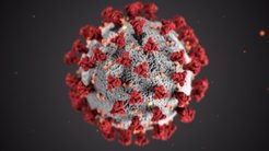 © CDC/Alissa Eckert, MS; Dan Higgins, MAMS