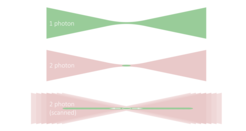 Principle of axially-scanned two-photon excited light sheet. Top: classical lightsheet generated with one-photon excitation. The light sheet as a narrow waist, but diverges outside the focus to a thicker "sheet".Middle: two-photon excitation in a focussed laser beam. Excitation is limited to the region surrounding the focus.Bottom: If the focus is scanned along the optical axis a long uniform region is excited which does not suffer from the divergence found in the case of one-photon excitation