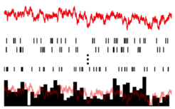 The stimulus to a neural population (red trace) produces a spiking response within its neurons (thin black bars). Within linear response theory, the summed response of all neurons (thick black bars) is a frequency-filtered version of the stimulus.