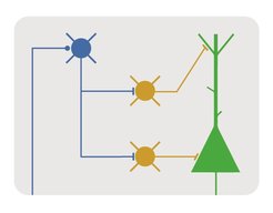 Disinhibtion can regulate plasticity in a neuronal circuit