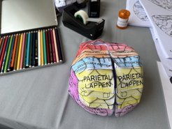 A “brain hat” made out of paper was a favourite with the children
